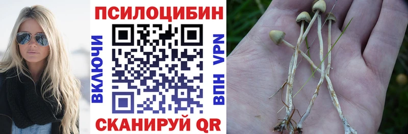 Галлюциногенные грибы GOLDEN TEACHER  как найти закладки  Холм 
